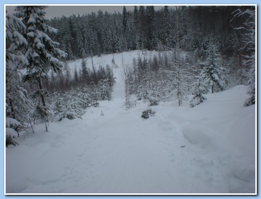 helmikuu2011 014